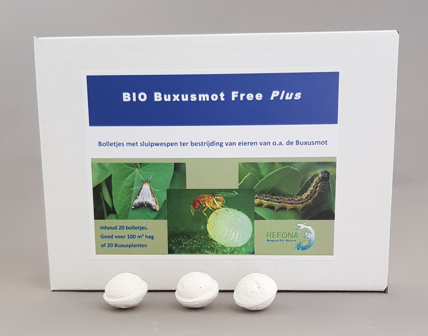 Bio Buchsbaumzünsler Free Plus (10 Stk.) 